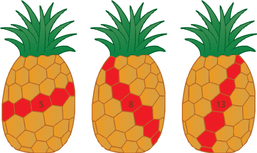 Pineapple showing three sets of Fibonacci spirals - 8, 13, and 21 spirals in diamond pattern - fibonacci sequence in nature